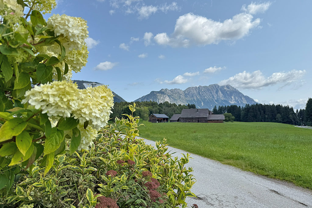 Unser Hausberg, der Grimming.